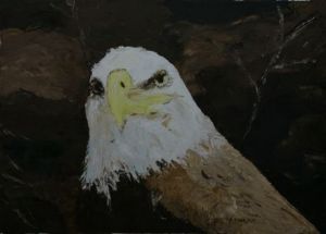 Voir le détail de cette oeuvre: Aigle pygargue à tête blanche